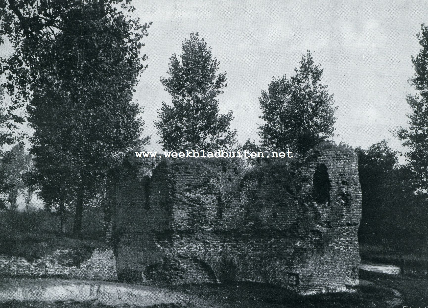 DE RUNE SWALMEN