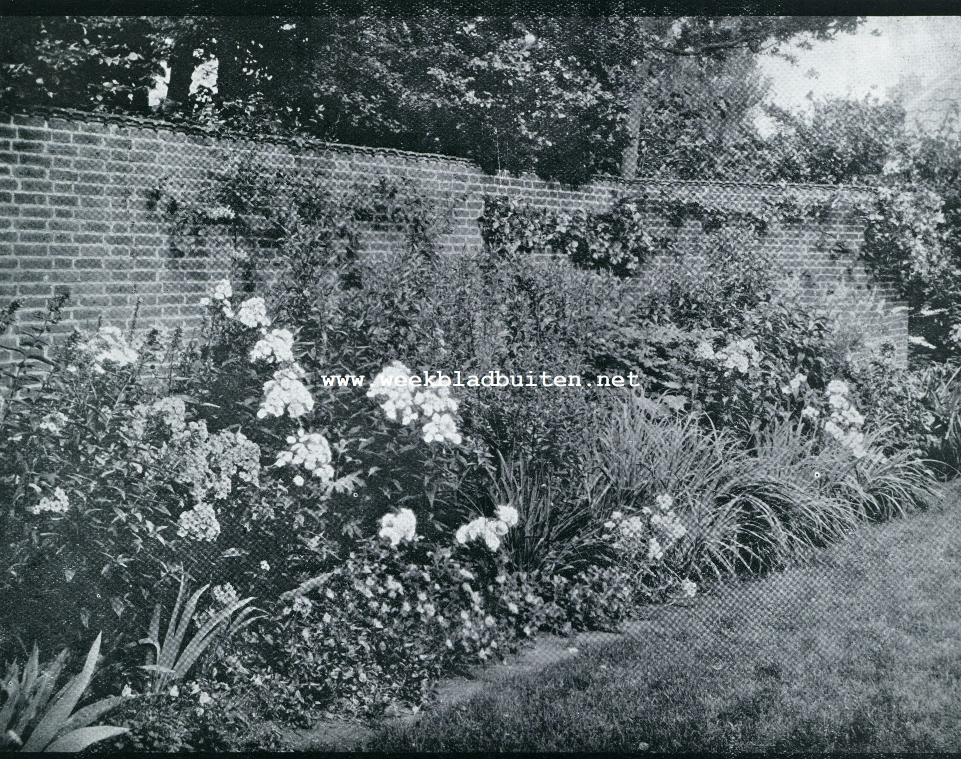 BORDER IN DEN TUIN VAN DE KOERS TE WASSENAAR. (ONTW. Ir. J. P. FOKKER, B.N.A., B.N.T.)