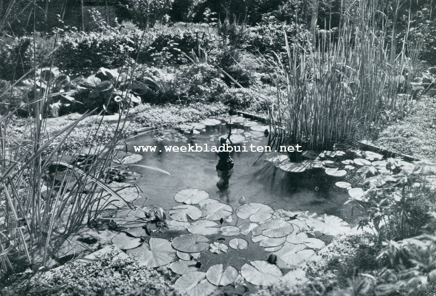 TUIN IN DENEMARKEN. (TUINARCHITECT: JOH. THOLLE)