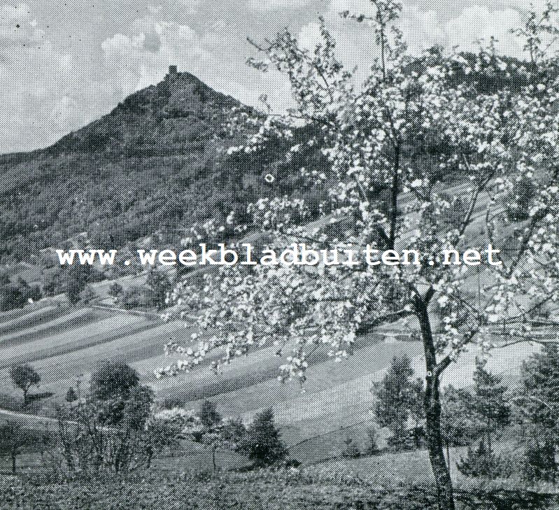 DE BURCHT TRIFELS BIJ ANNWEILER