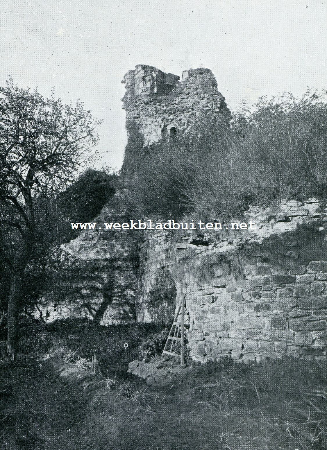 RUNE VAN HET 13E EEUWSCHEKASTEEL DE GRAUWERT BIJ MONTFORT
