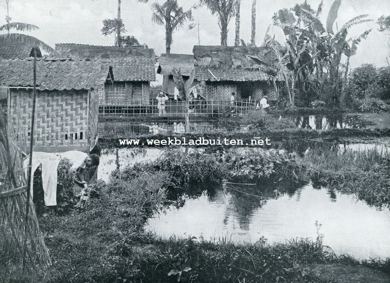 VAN BAMBOE GEVLOCHTEN HUIZEN