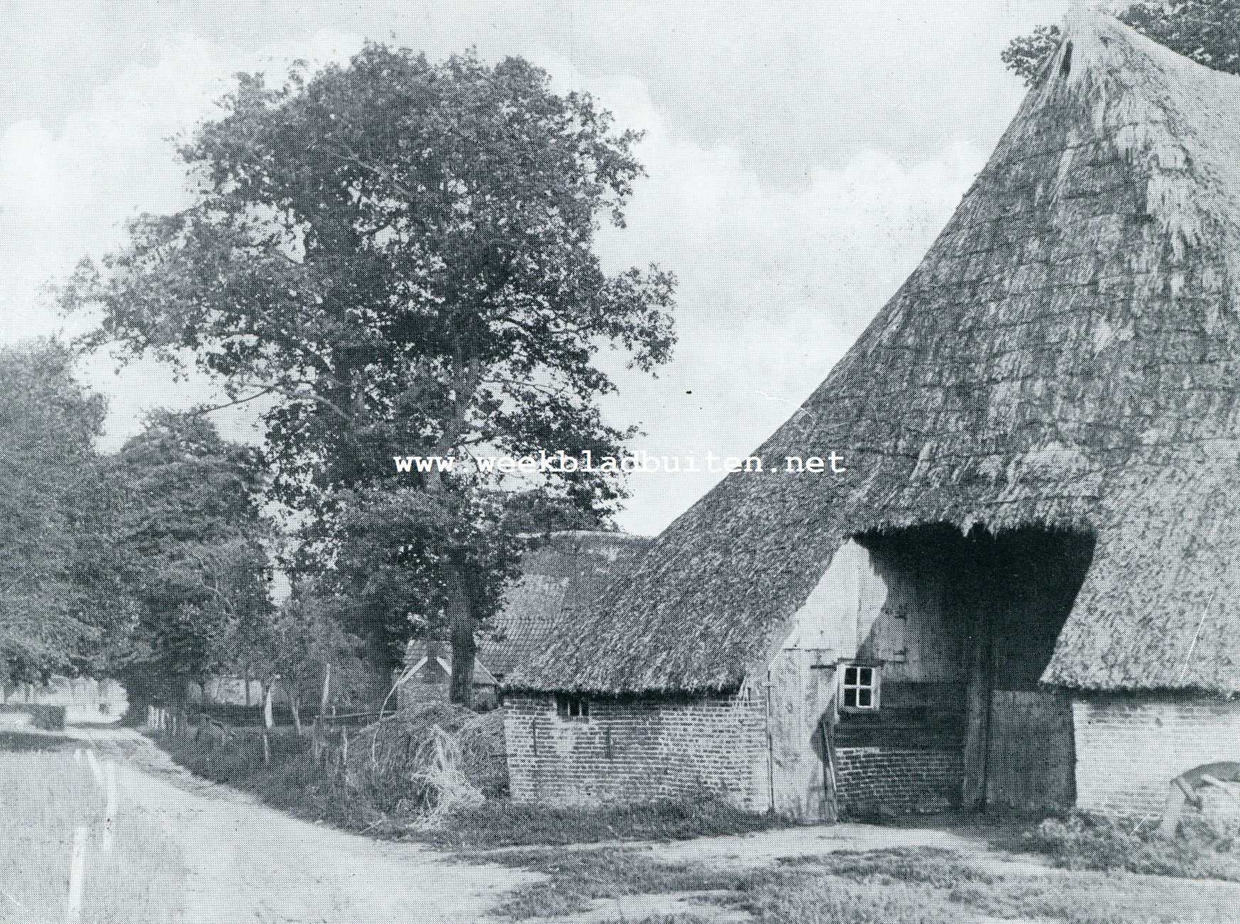 DE BAANDERDEUREN MET BAANDERHOEK VAN EEN BOERDERIJ TE GASSELTE