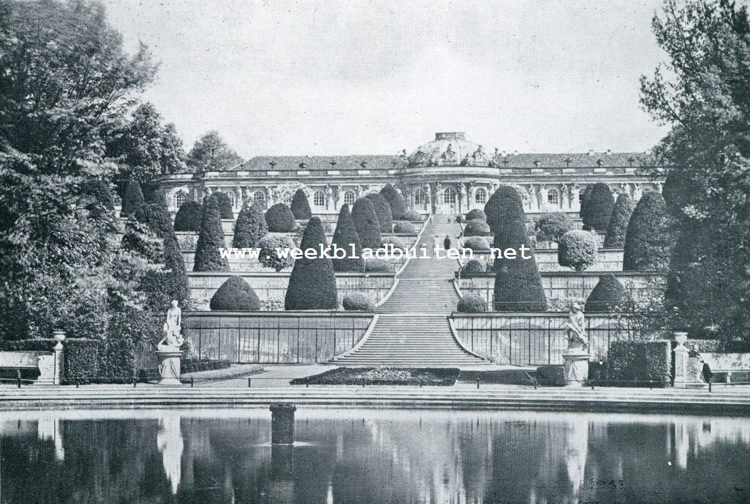 DE WIJNBERG VAN HET SLOT SANSSOUCI