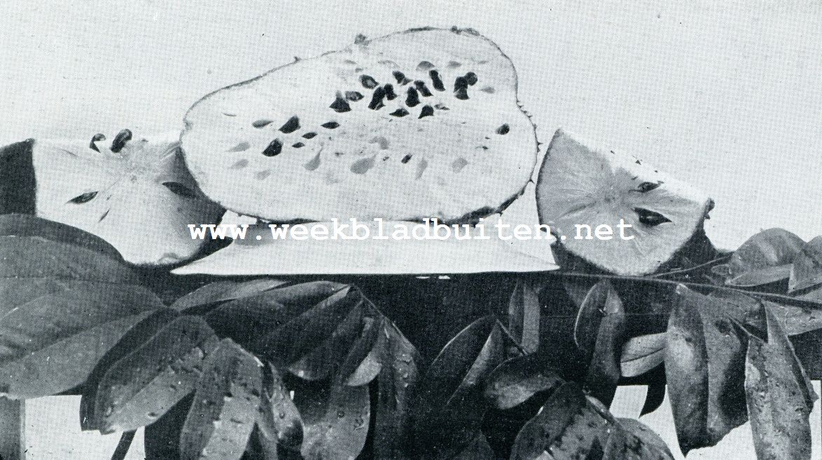 ZUURZAK GEOPEND