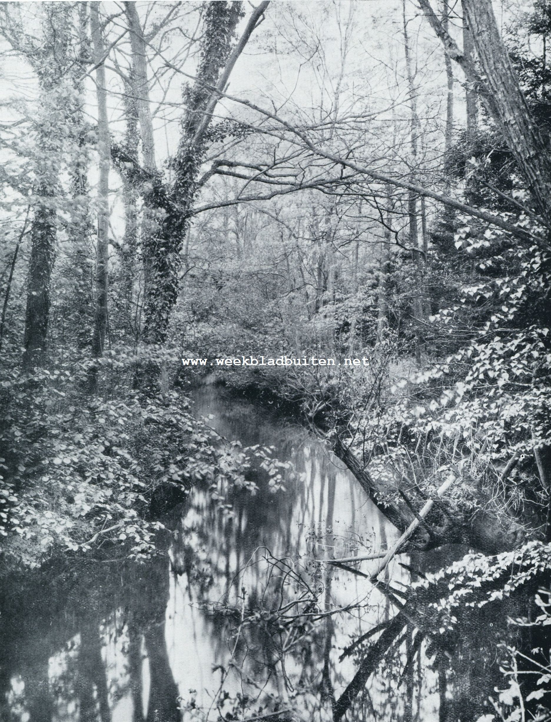 DE SLINGERBEEK BIJ WINTERSWIJK