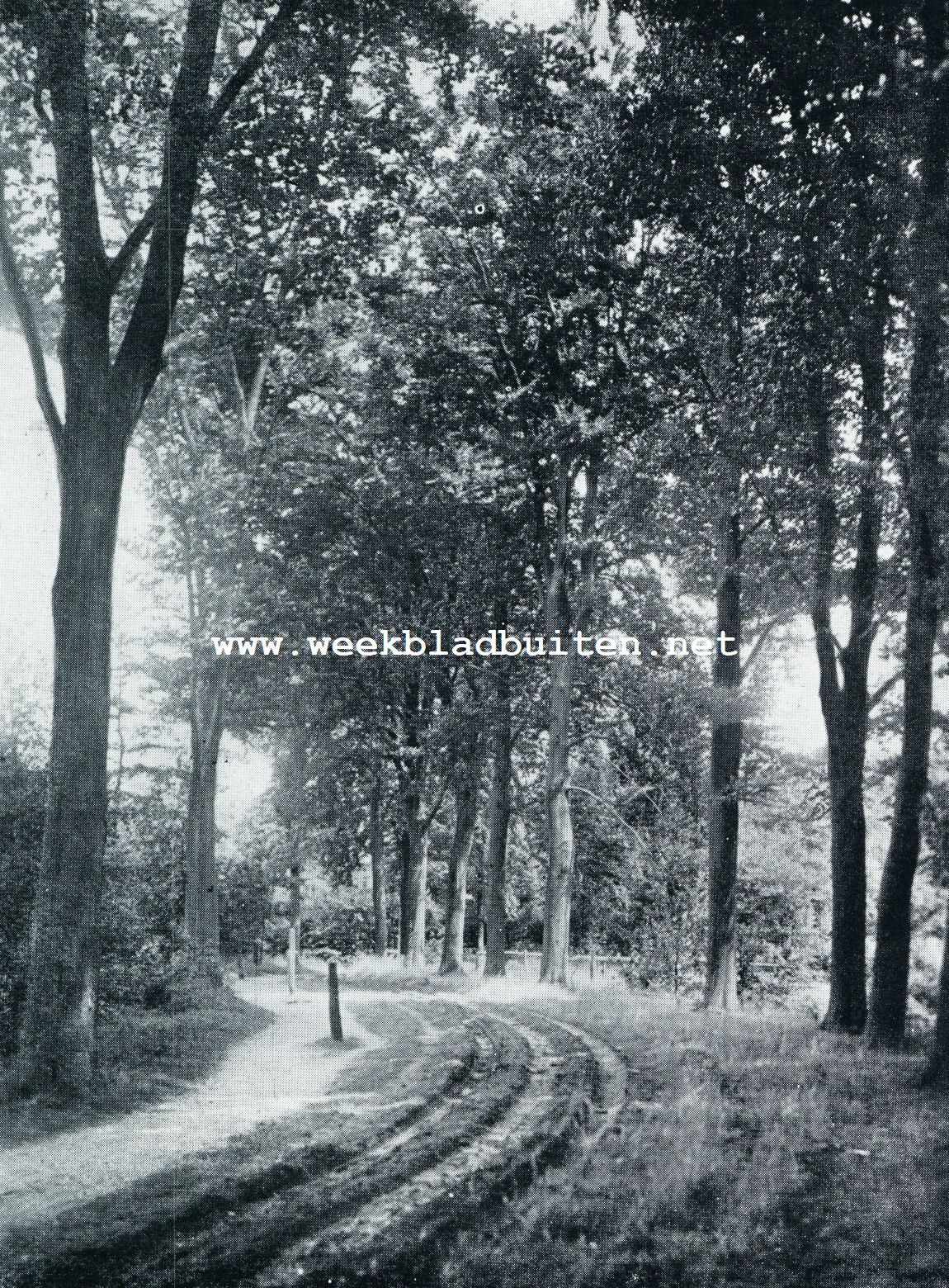 LANDLEG BIJ BREEDENBROEK (DINXPERLO)