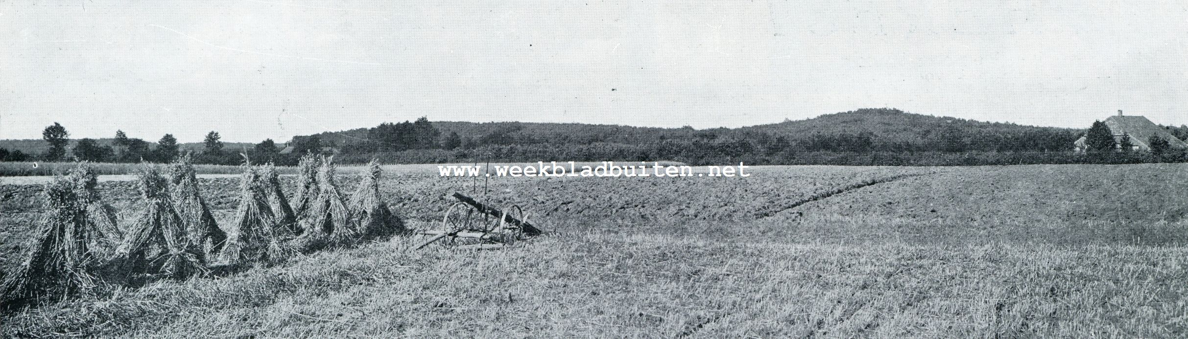 GEZICHT VAN DE BARCHEMSCHE ENK OP DE BARCHEMSCHE HEUVELRIJ