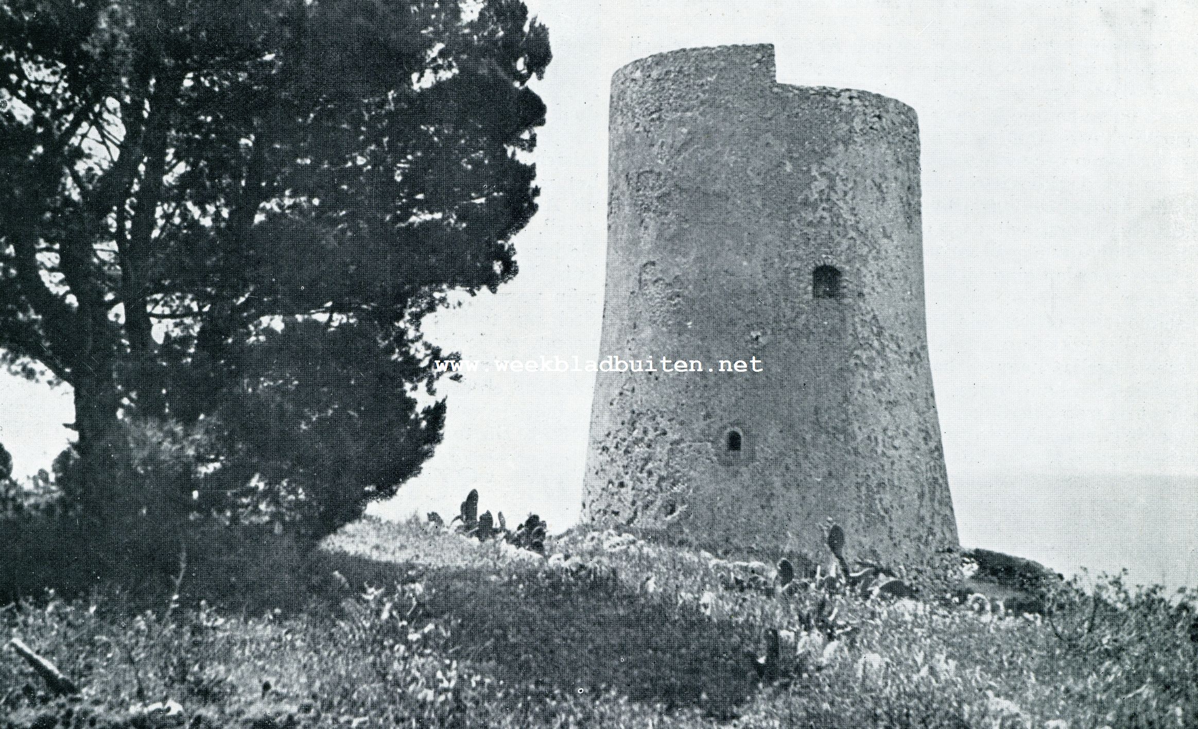 DE 900 JAREN OUDE TORRE DELLA GUARDIA, DIE BELEGERD WERD DOOR TURKSCHE EN SARACEENSCHE ZEEROOVERS EN NAPOLEONS TROEPEN, IN HAAR TEGENWOORDIGE VREDIGE OMGEVING. DE RUWE MUREN DRAGEN MENIGE OUDE WONDE