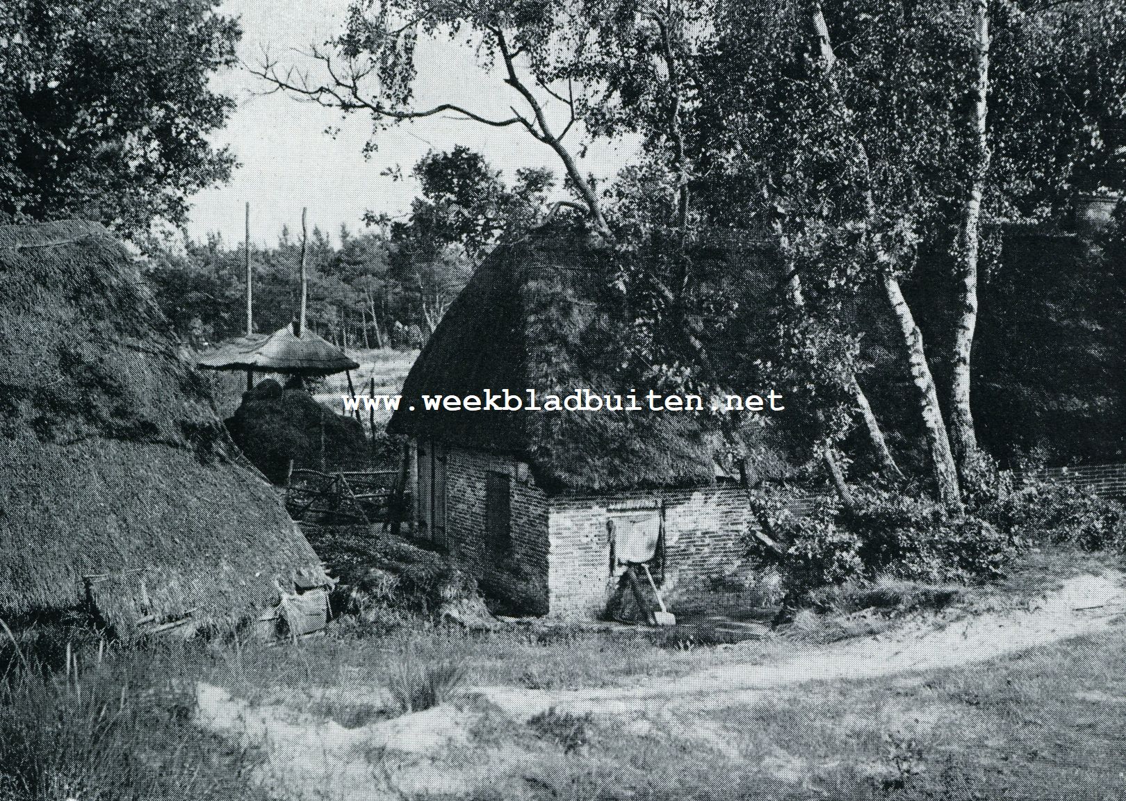 BIJ EEN OUDE BOERDERIJ OP DE NEDER-VELUWE