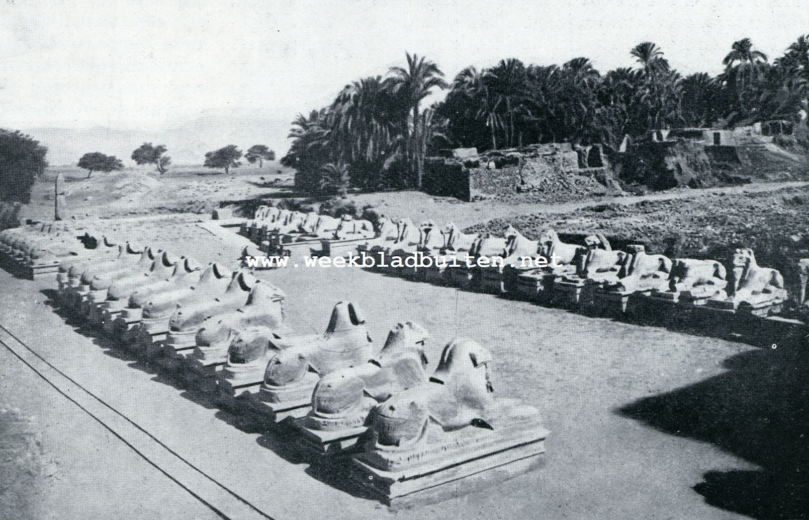 SPHINXEN-ALLEE TE KARNAK