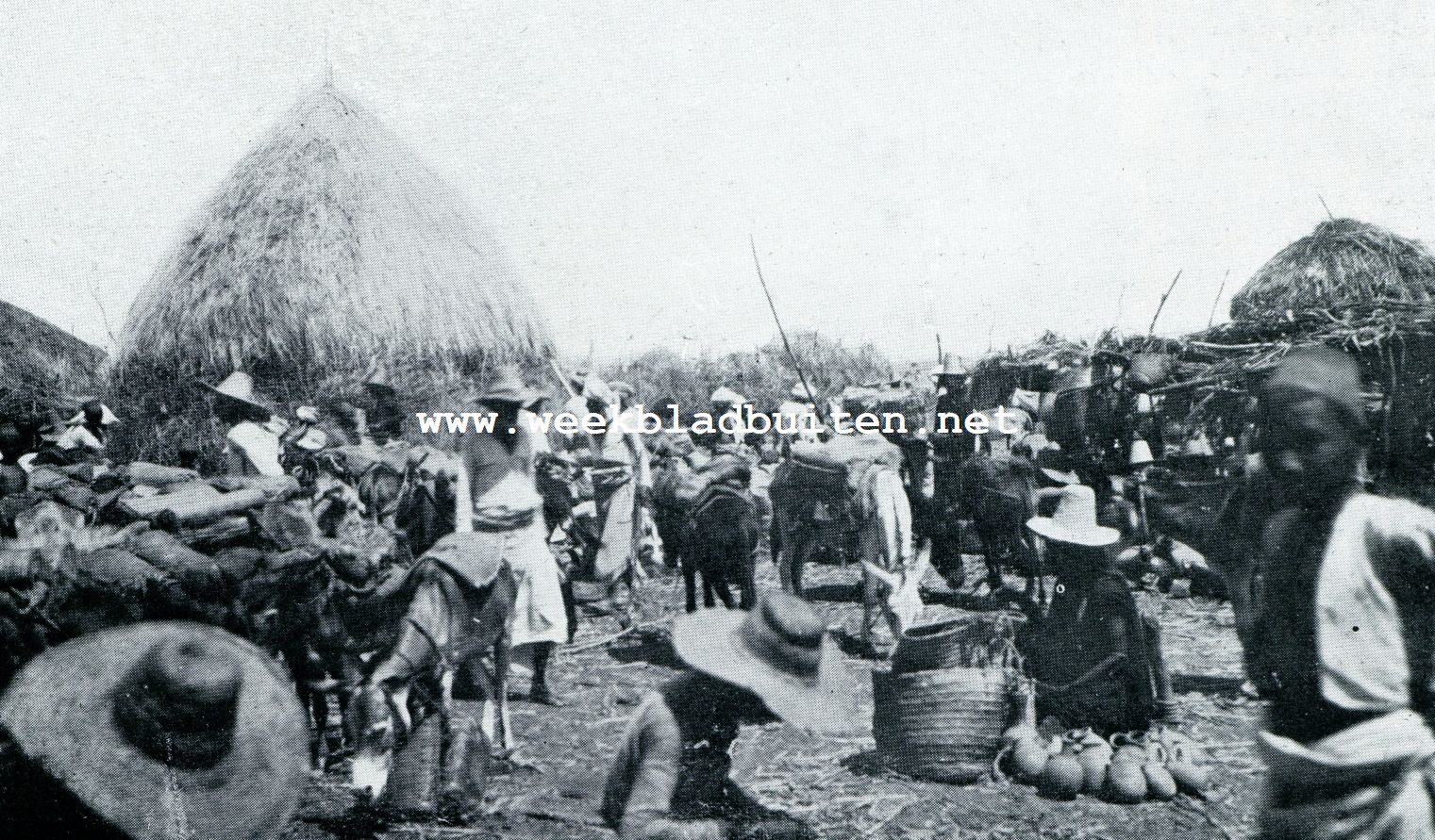 MARKTDAG IN EEN TIHAMA-DORP
