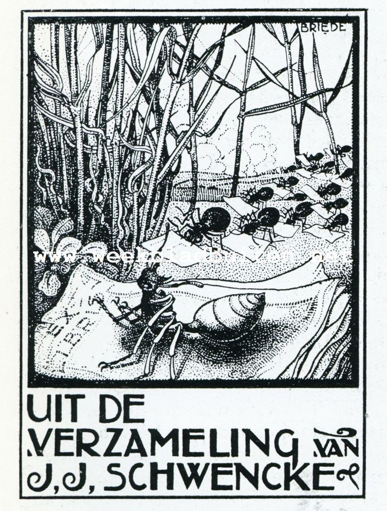 TEEKENING VAN JOH. BRIED