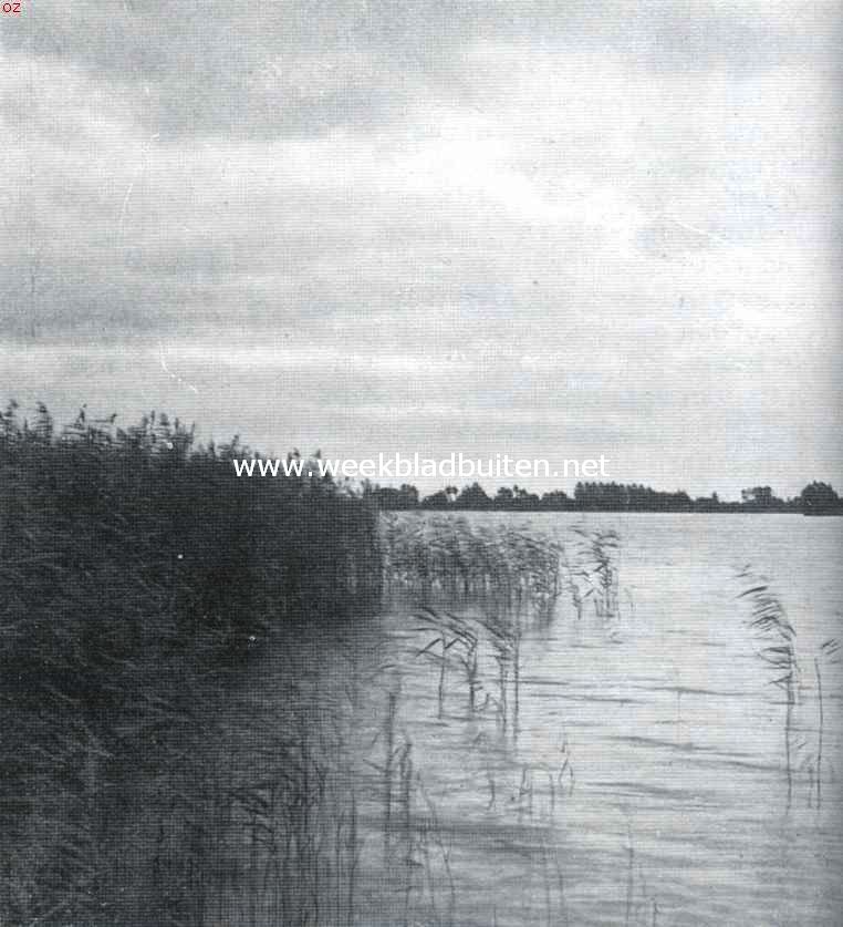 Over water- en veenland. Een rietkraag op de Reeuwijksche Plassen