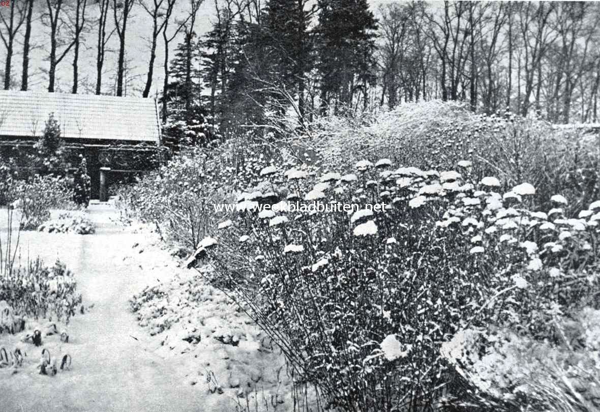 De tuin in den winter. Border in den wintertuin, wanneer we die op natuurlijke wijze laten afsterven