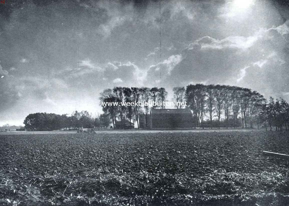Herfstdag bij Amstelveen