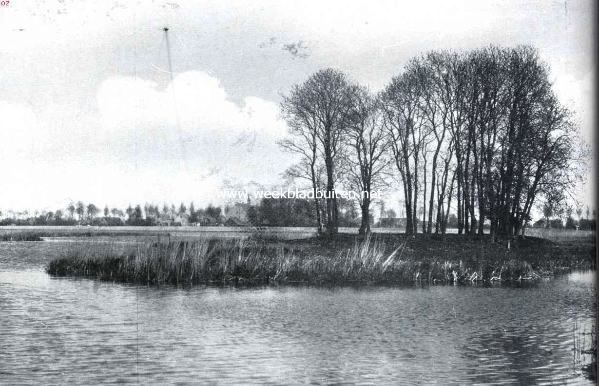 Gezicht op Amstelveen over de wintersche plassen