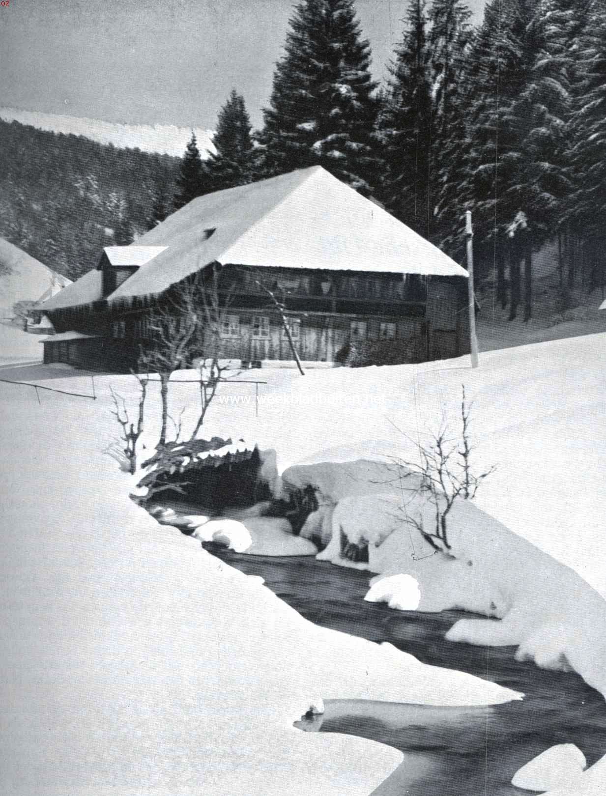 Winter in het Zuid-Duitsche bergland