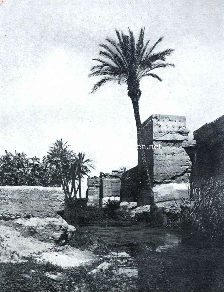 Bruiloft der ooievaars. In de omgeving van Rabat