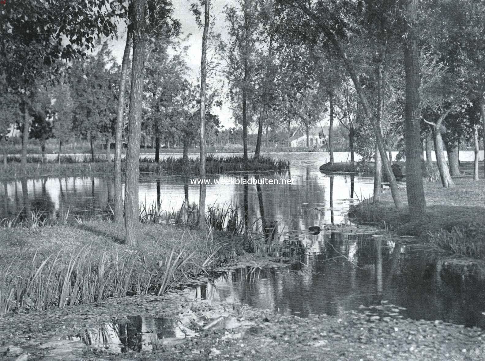 De Alblasserwaard. De Alblas tusschen Oud-Alblas en Alblasserdam