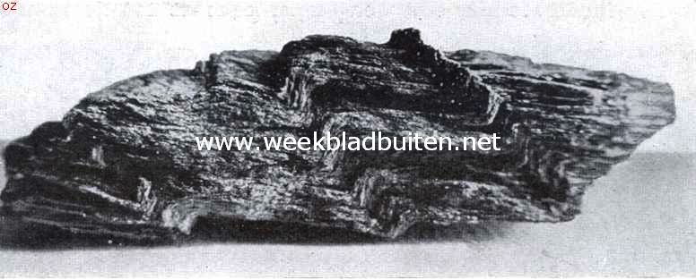 De rustelooze aarde. Geplooide glimmerschist (gevonden bij Maarn)