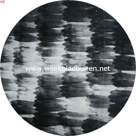 Gedeelte van de vleugel van de Atalanta-vlinder ongeveer 350 x vergroot
