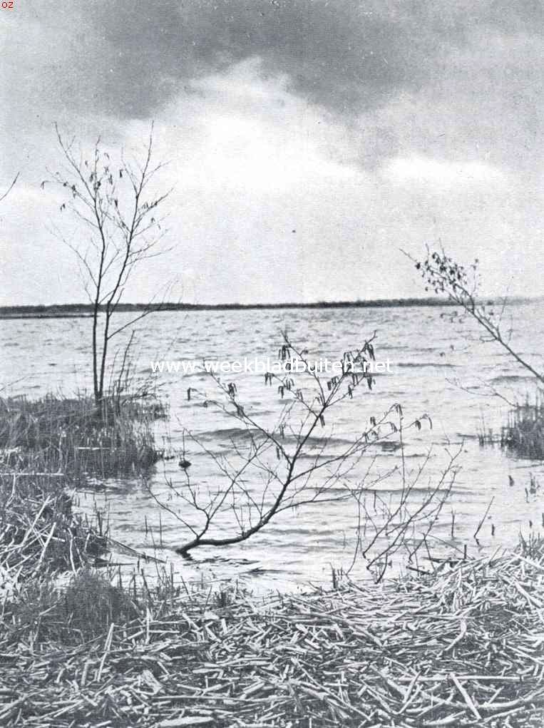 Voorjaar aan den plas
