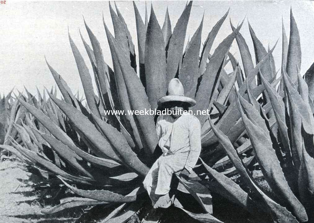 De 