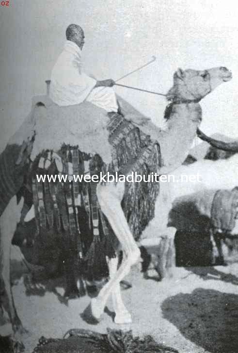 Indrukken uit het Heilige Land van den Islam. De Nederlandsche vice-consul te Mekka, Abd Quadir, in ihraamkleeding op de vlakte van 'Arafat