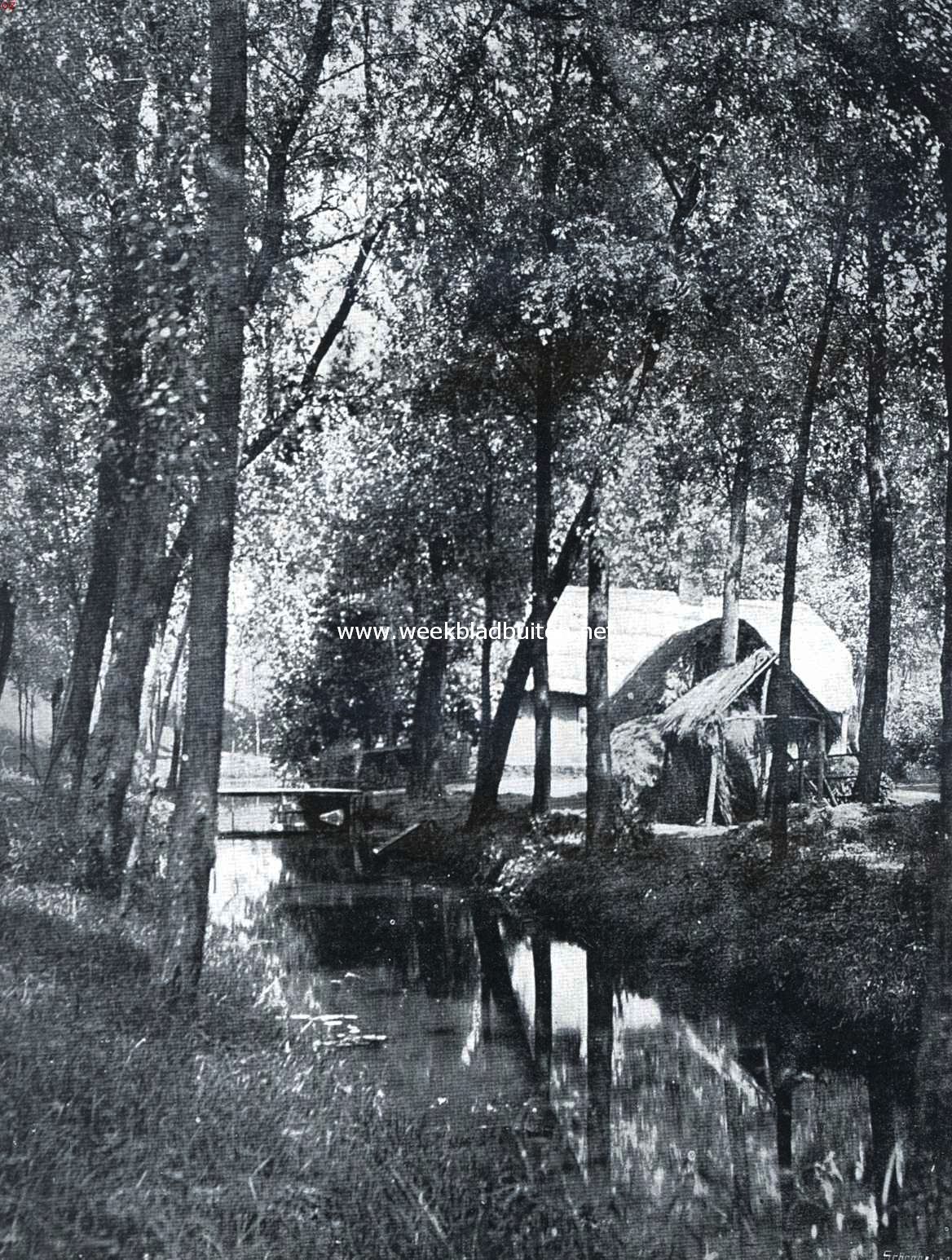 Aan de Linge in de Neder-Betuwe (bij het artikel: 