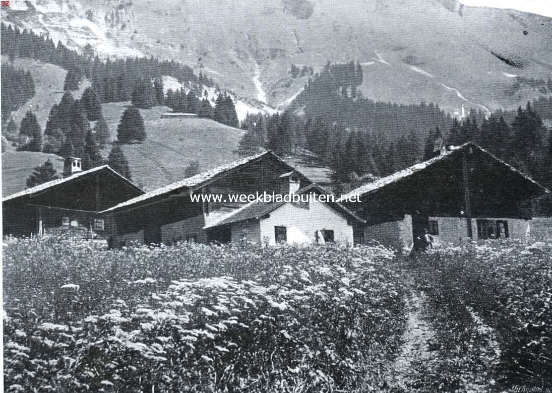 Voorzomer in de Zwitsersche Alpen