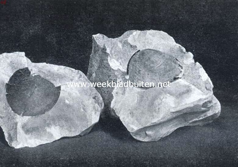 Over zeegels en hun verwanten. De steen, waarin de zeegel zich bevond, in tween gespleten