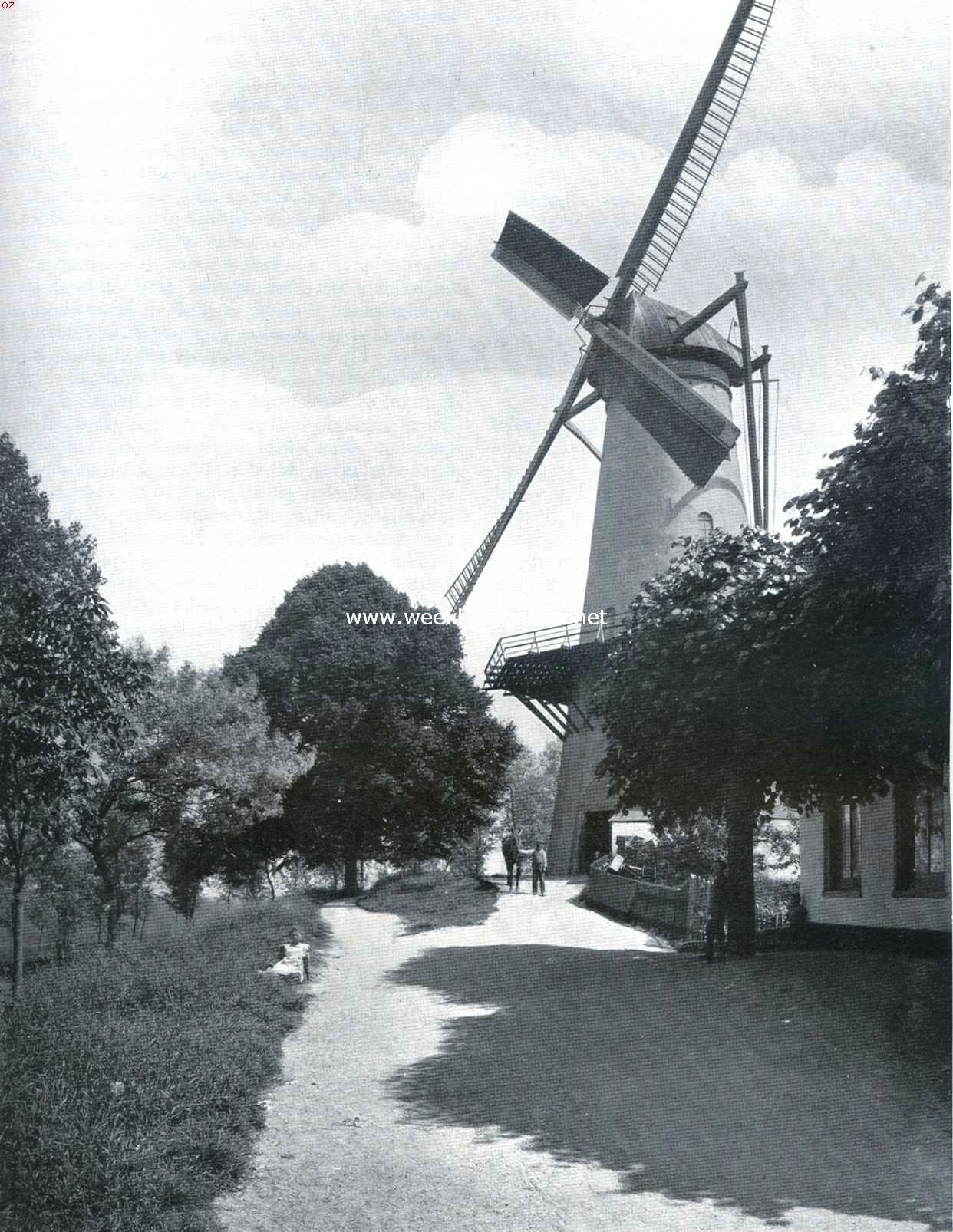 Molen bij Buren (bij het artikel: 