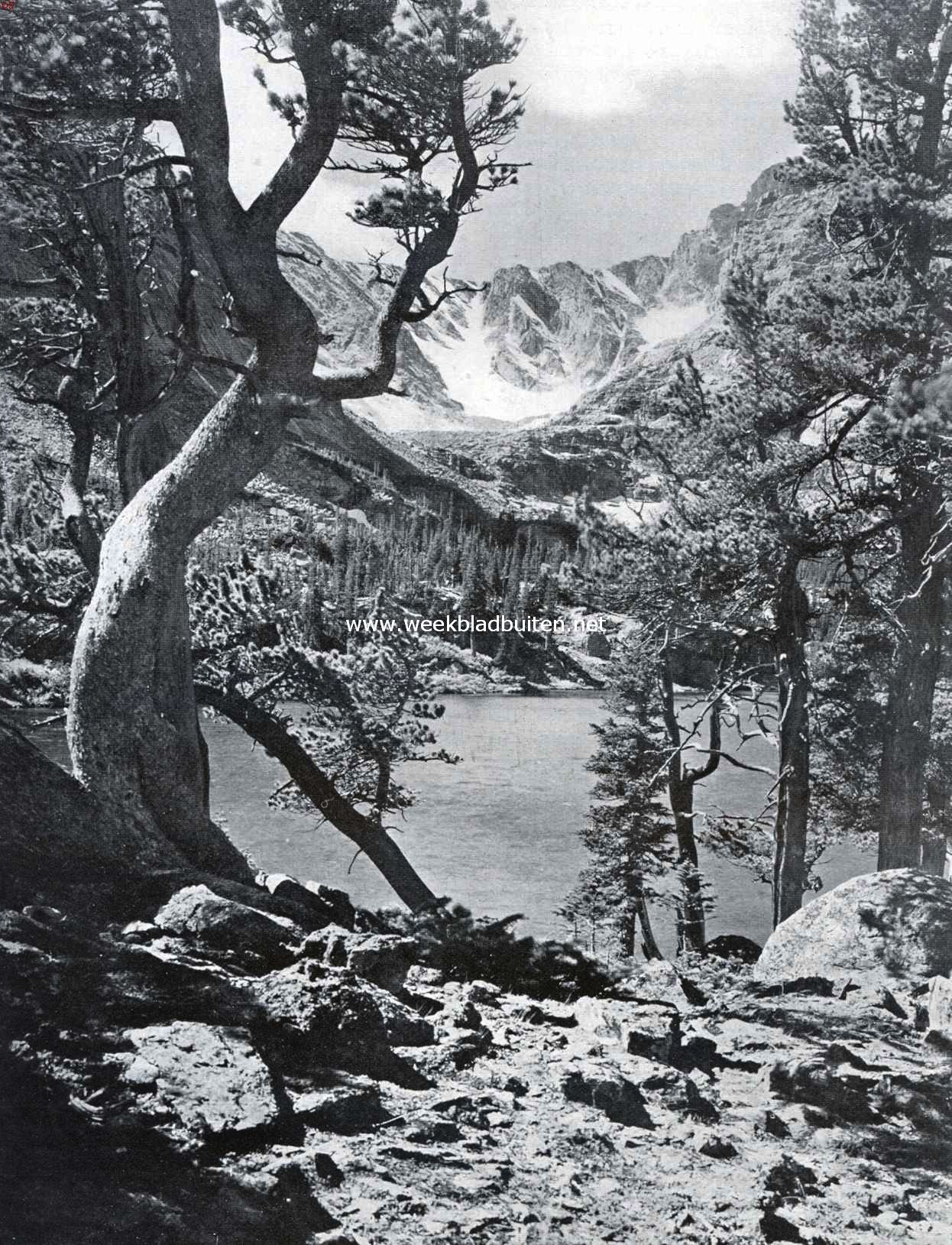 In het Rocky Mountain National Park, n der vele uitgestrekte natuurmonumenten in de Vereenigde Staten
