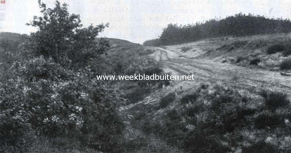 Grensgebieden. Het land van heide, bosch en vennen bij Hatert