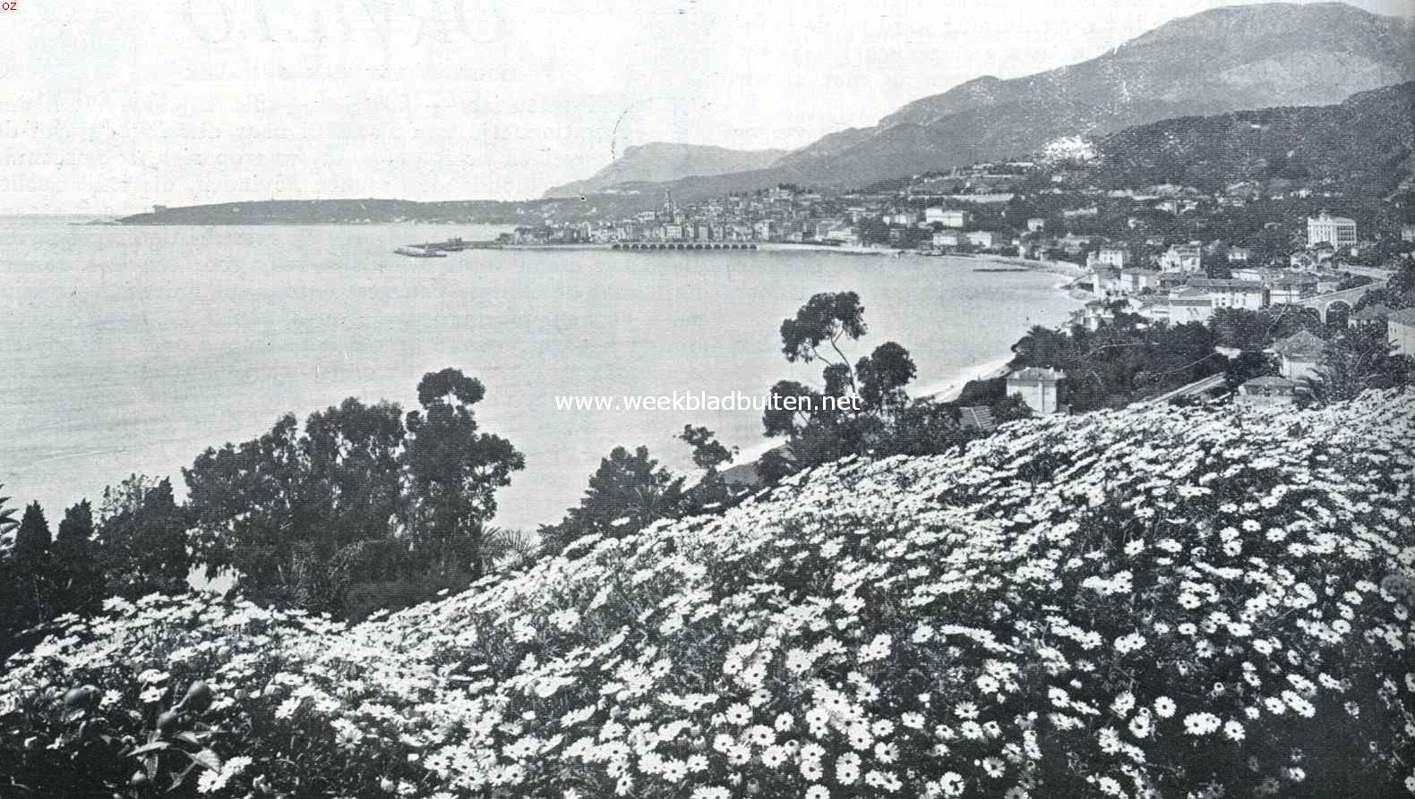 De charme van Menton. Gezicht op Menton, Cap-Martin en de 