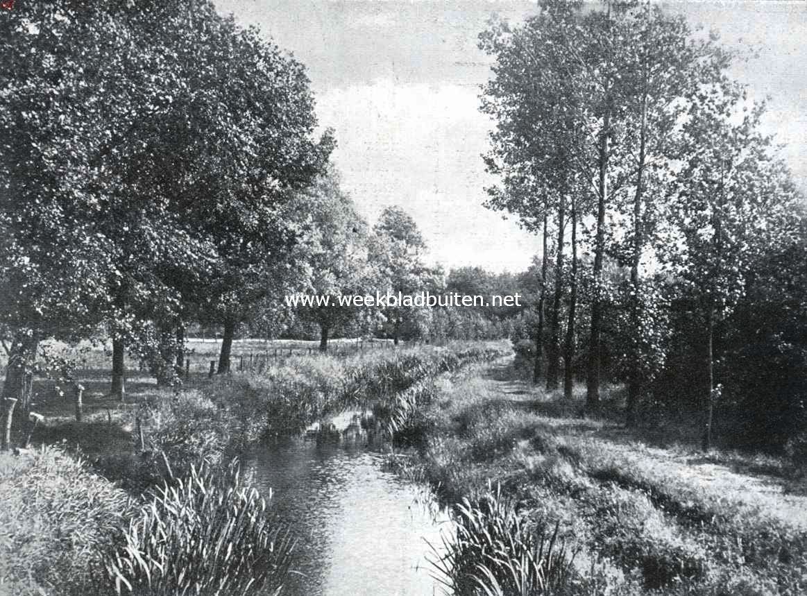 Aan den Buurser Beek