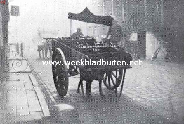 De trekhond, de schande van Nederland. Deze hond kan niet rechtop onder den wagen loopen