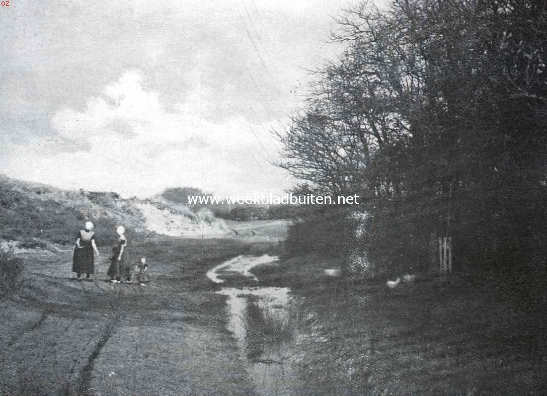 Walcheren, de tuin van Zeeland. Een landschap als op een oud-Hollandsch schilderij in de duinen van Koudekerke