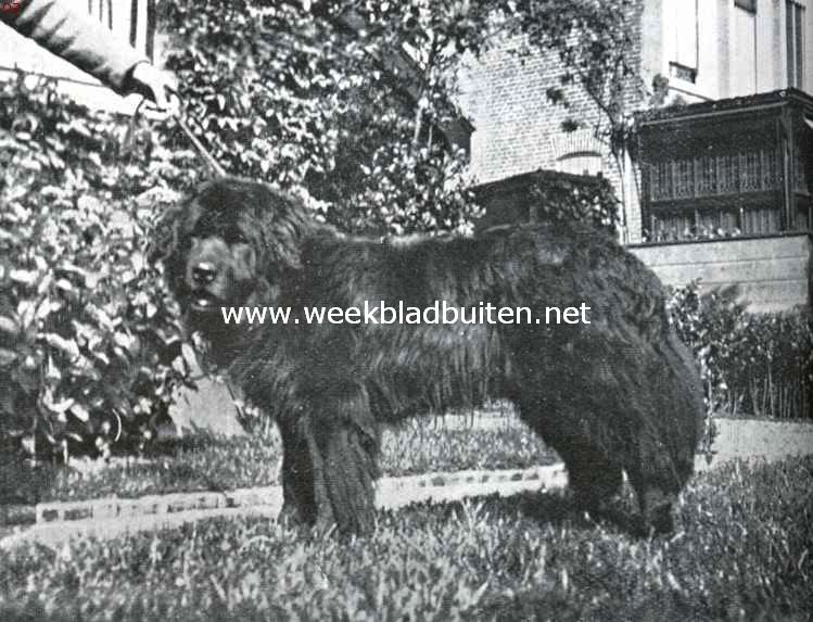 De zwarte familie. De vader, en 