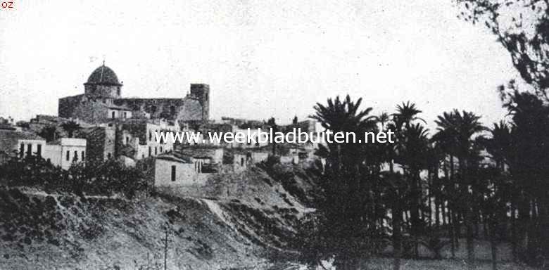 Een merkwaardige landstreek in Spanje. Gezicht op Elche