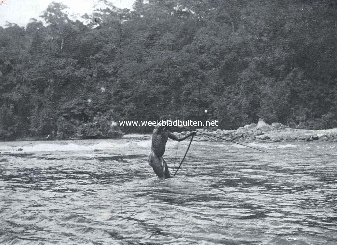 Een Afrikaansche samenleving in het binnenland van Suriname. Visch-schietende Boschneger. Groote visschen worden met pijlen geschoten, kleinere met netten bemachtigd; ook wordt wel gebruik gemaakt van vergif (hekoe, aftreksel van een liaan), waardoor de visschen bedwelmen
