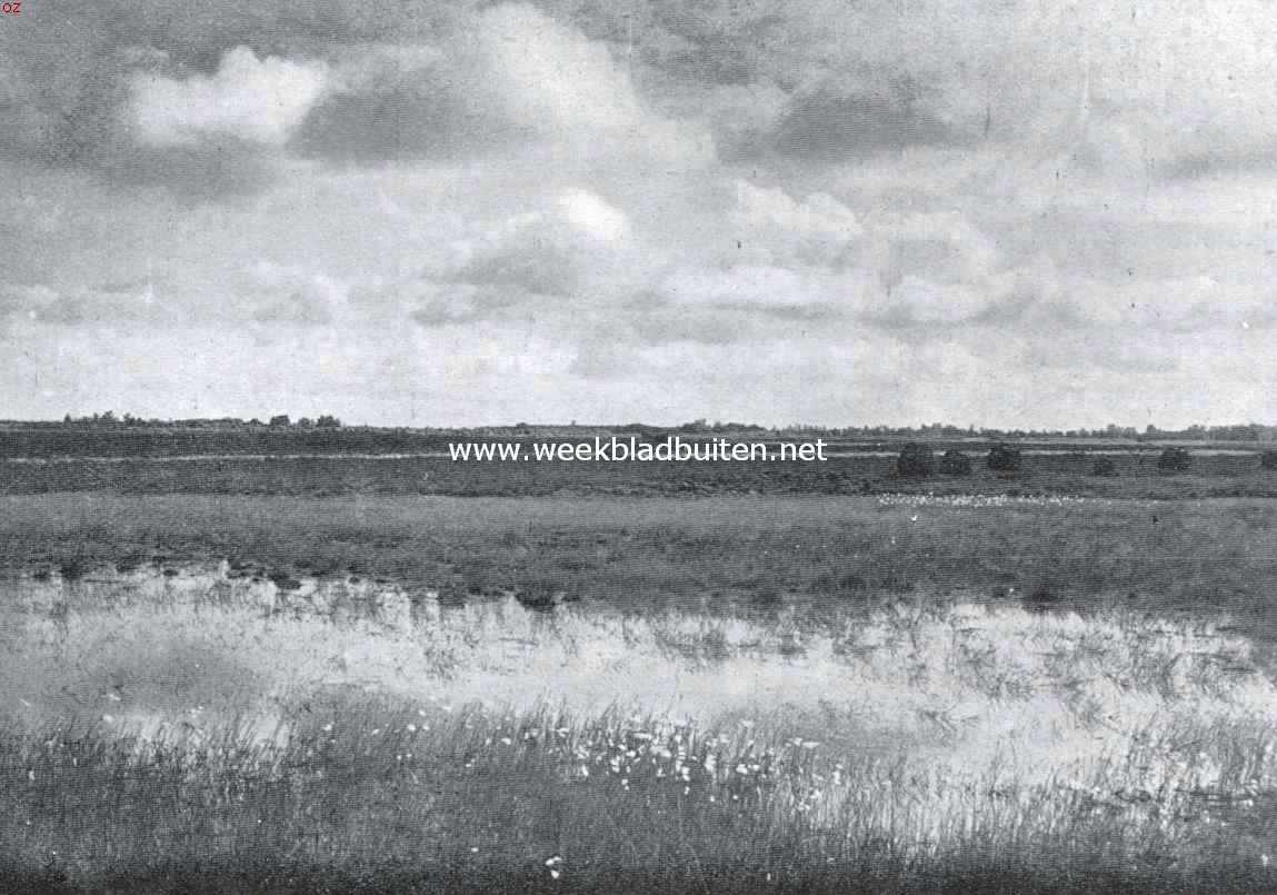 Heiplas in het Beuningerveld