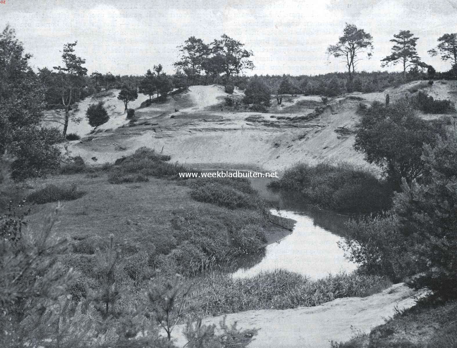 Door het land van de Dinkel. In het Lutterzand