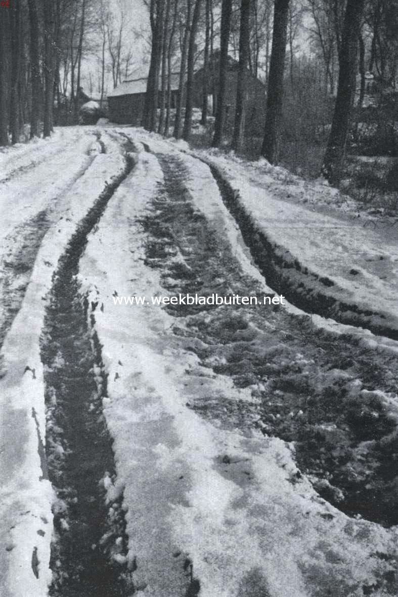Winter in Brabant