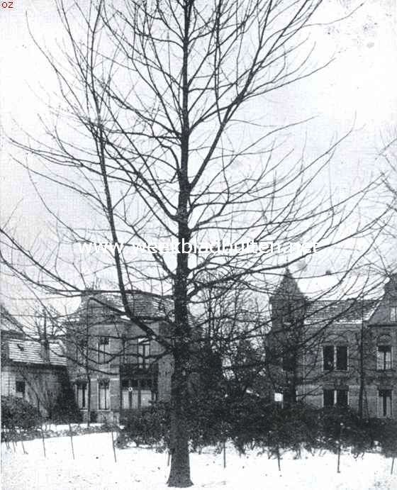 Eschdoorn