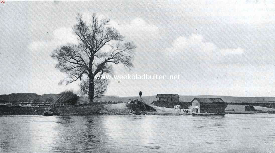 Eenzame eik aan de rivier