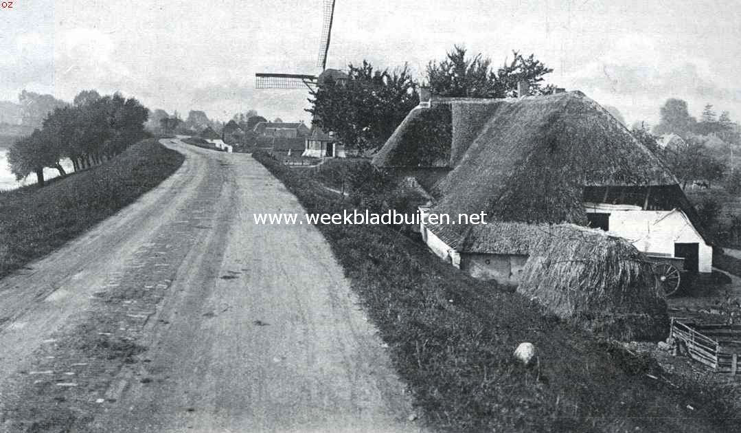 Aan den dijk bij Waardenburg