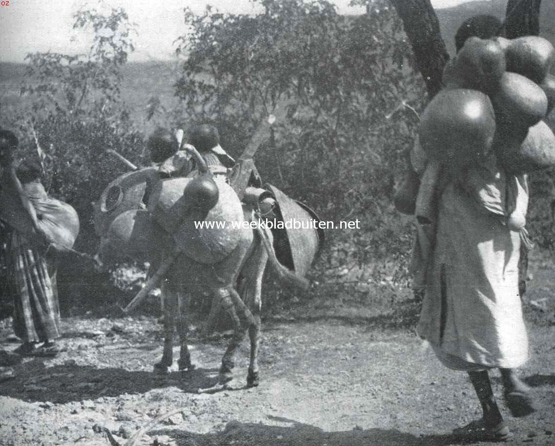 Abessini, een land van rassen en klassen. Een verhuizende Somali-familie in Abessini. Moeder met kind voorop, dan volgt de ezel met een tweeling en keukengerei, de vader sluit den stoet, beladen met groote kalebasflesschen