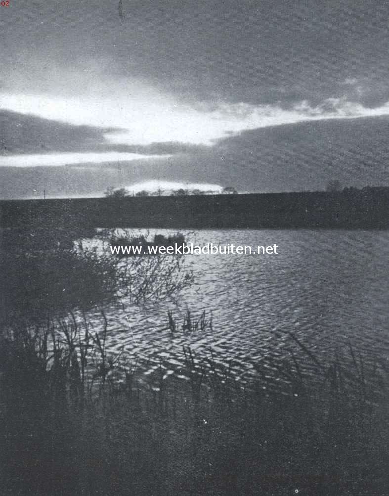 Avond aan den plas